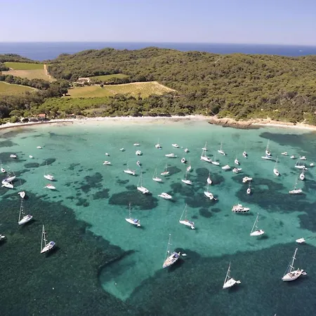 La Crique - Maison Acces A Pieds Pour 4 Personnes - Giens * Hyères